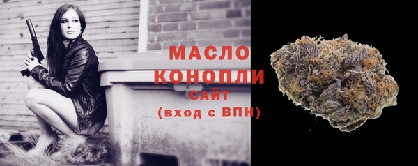 дживик Гусь-Хрустальный