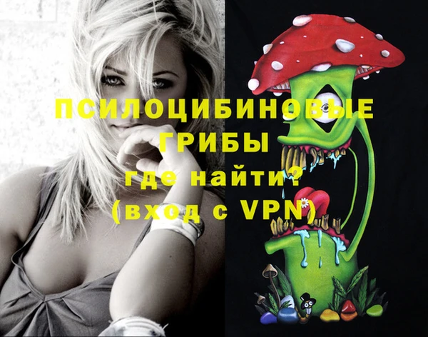 кристаллы Вяземский