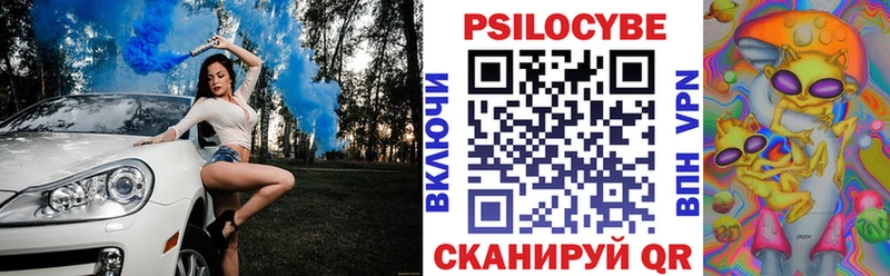 купить Долинск Псилоцибиновые грибы MAGIC MUSHROOMS